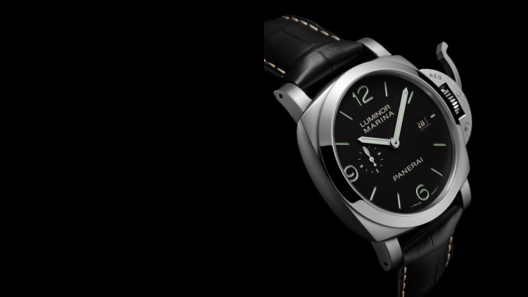 Panerai Watch Collection Luminor