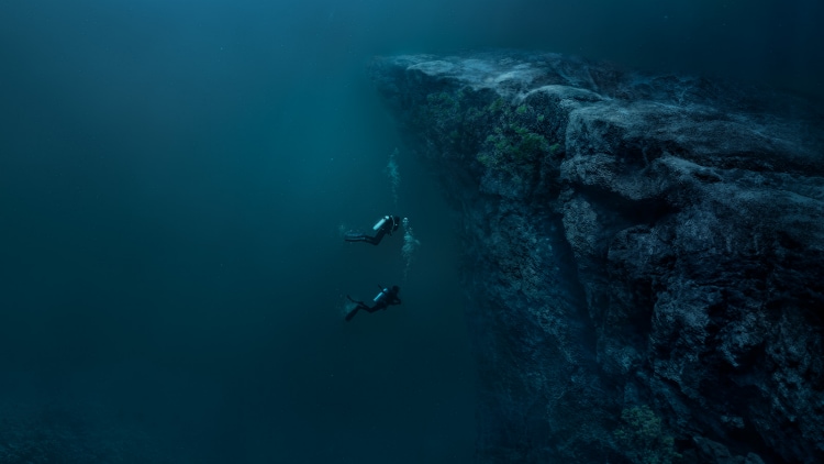Panerai watch collection Submersible