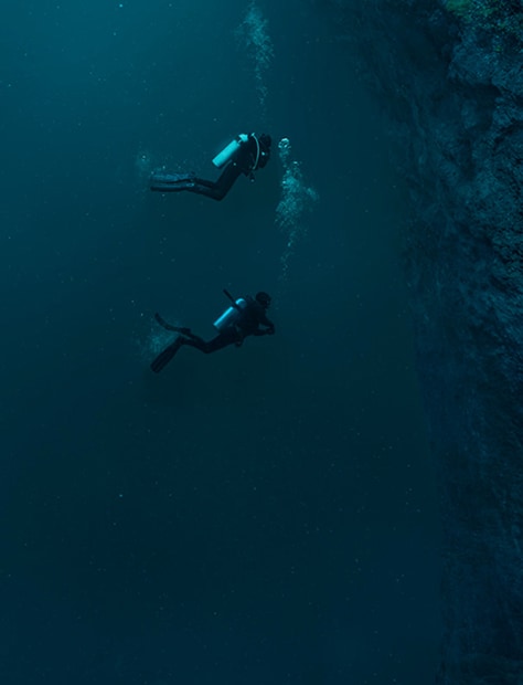 Submersible