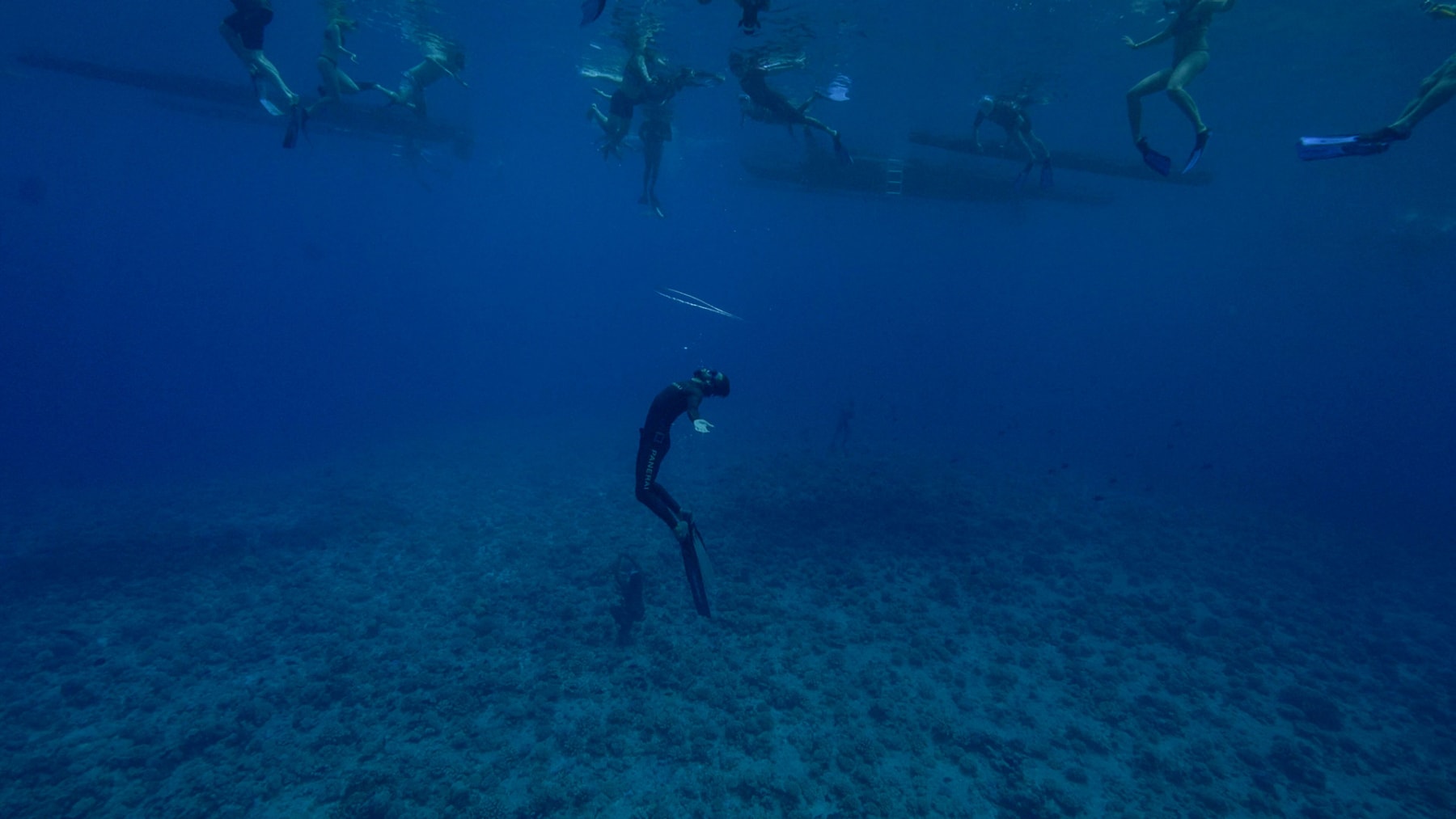 Panerai Nery Experience 3