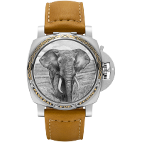 PANERAI Luminor Sealand PAM00856 Front view