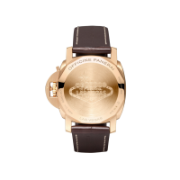 PANERAI Luminor GMT 10 Days PAM00491 Back view