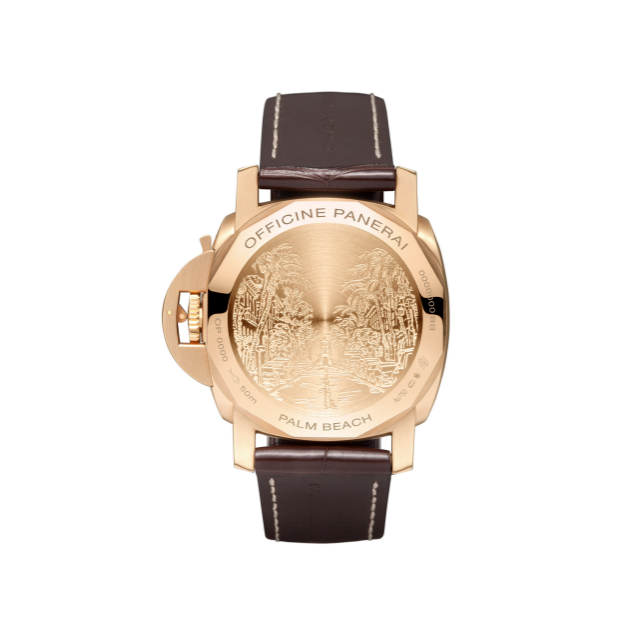 PANERAI Luminor GMT 10 Days PAM00492 Back view