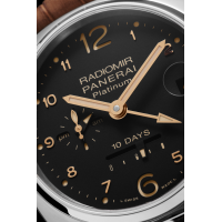 PANERAI Radiomir 10 Days GMT Automatic Platino PAM00495 Detail 2