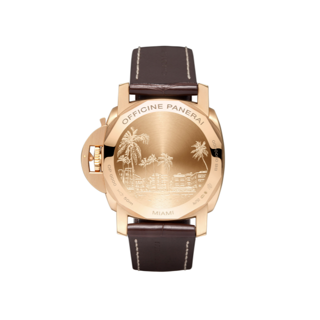 PANERAI Luminor GMT 10 Days PAM00494 Back view