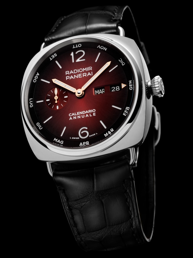 PANERAI Radiomir Annual Calendar Platinumtech™ Experience PAM01432 Detail 